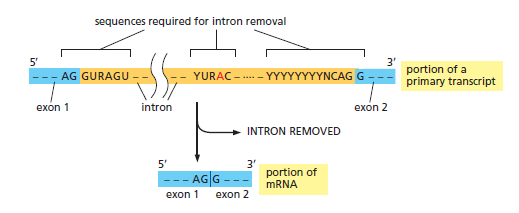 Figure 6-27.png